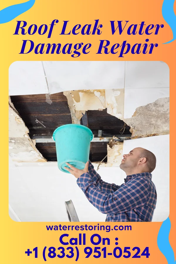 Roof Leak Water Damage Repair in Larkspur, CO